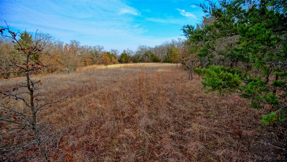 FM 3206 St Jo, TX 76265
