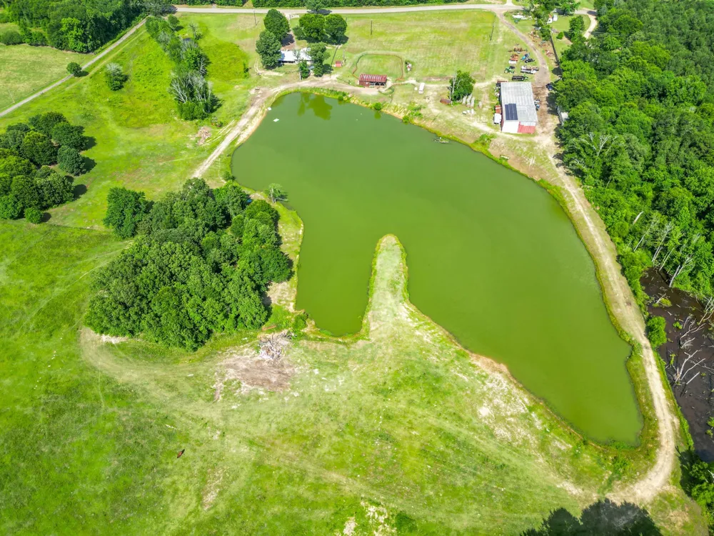 2711 Fm 250 Hughes Springs, TX 75656