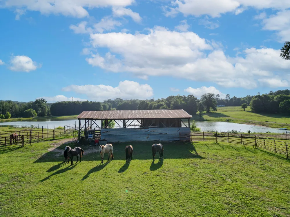 2711 Fm 250 Hughes Springs, TX 75656