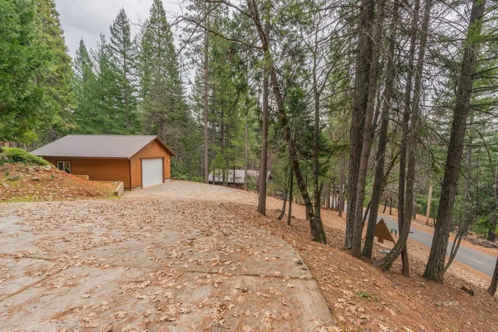 410 Lake Forest Dr. Trinity Center, CA 96091