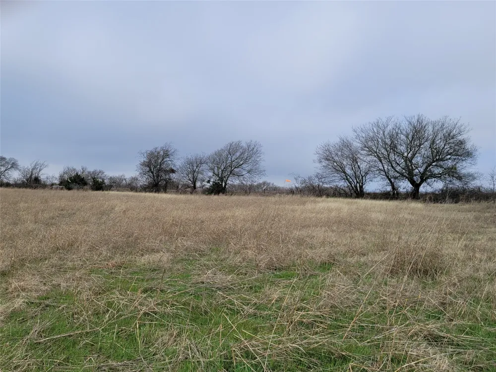 2232 County Road 415 Coyote Flats, TX 76031