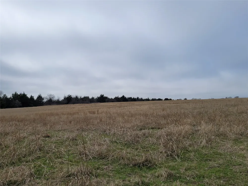 2232 County Road 415 Coyote Flats, TX 76031