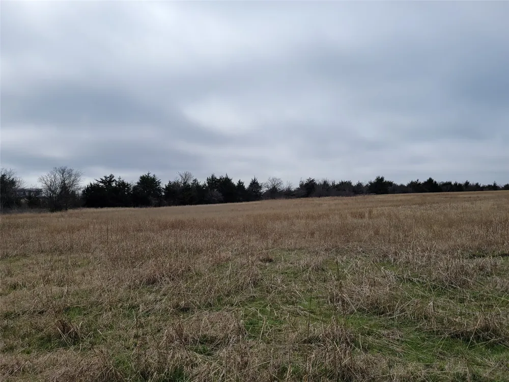 2232 County Road 415 Coyote Flats, TX 76031