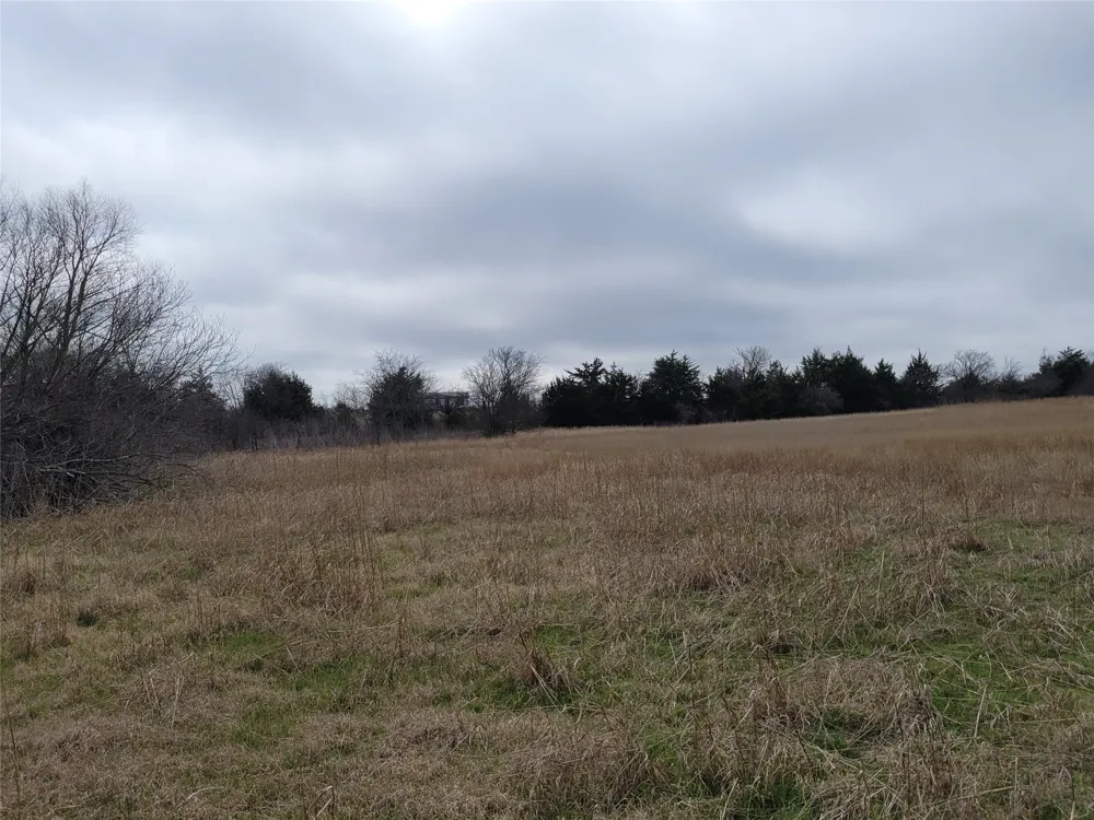2232 County Road 415 Coyote Flats, TX 76031