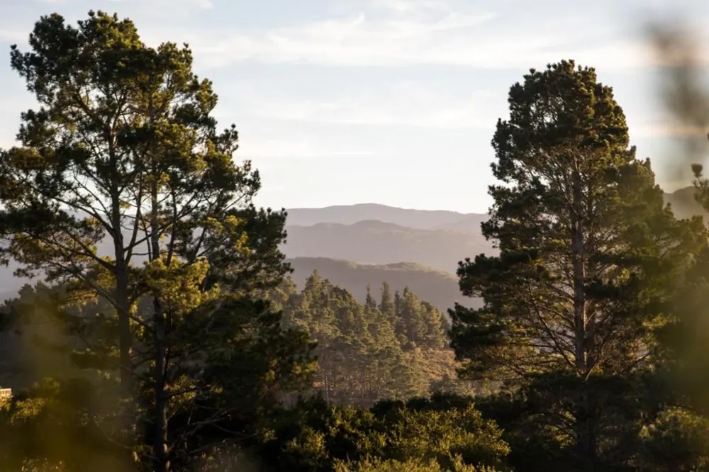 34 Tehama (Lot 29) Carmel, CA 93923