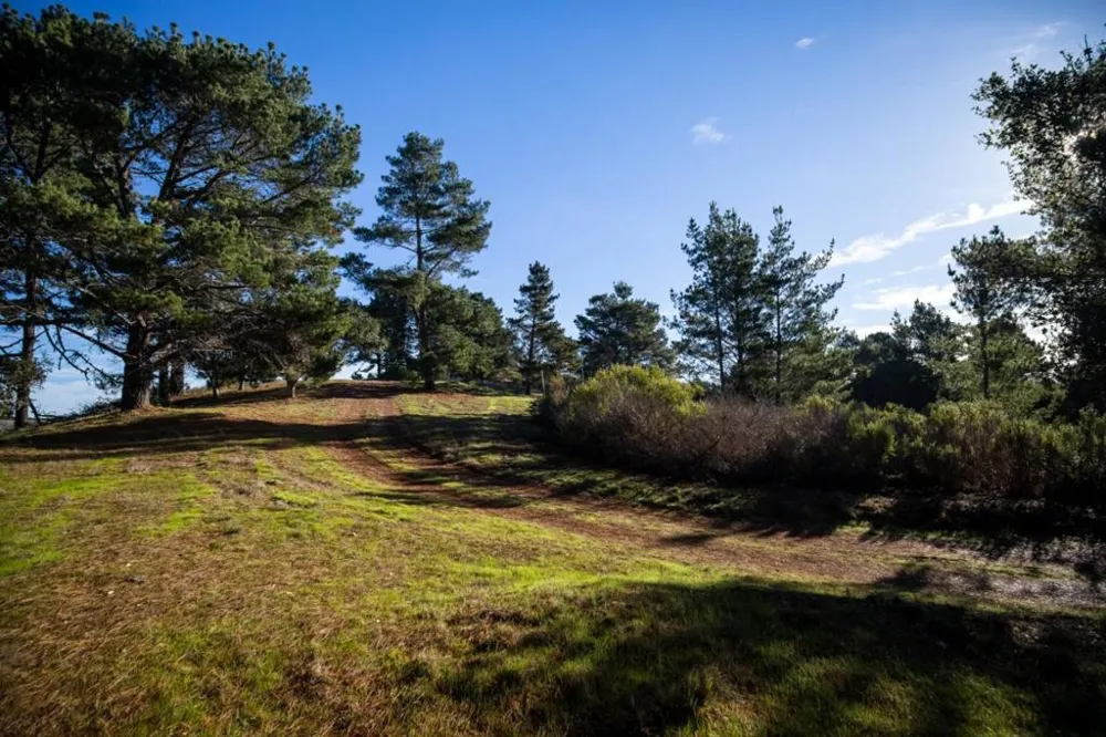 34 Tehama (Lot 29) Carmel, CA 93923