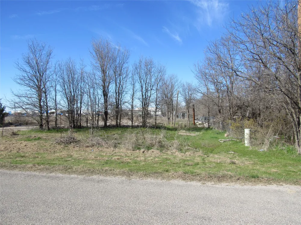 207 Newell Drive Hudson Oaks, TX 76087