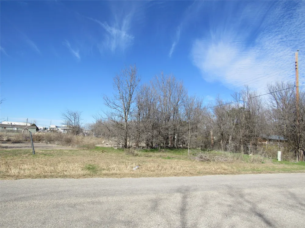 207 Newell Drive Hudson Oaks, TX 76087