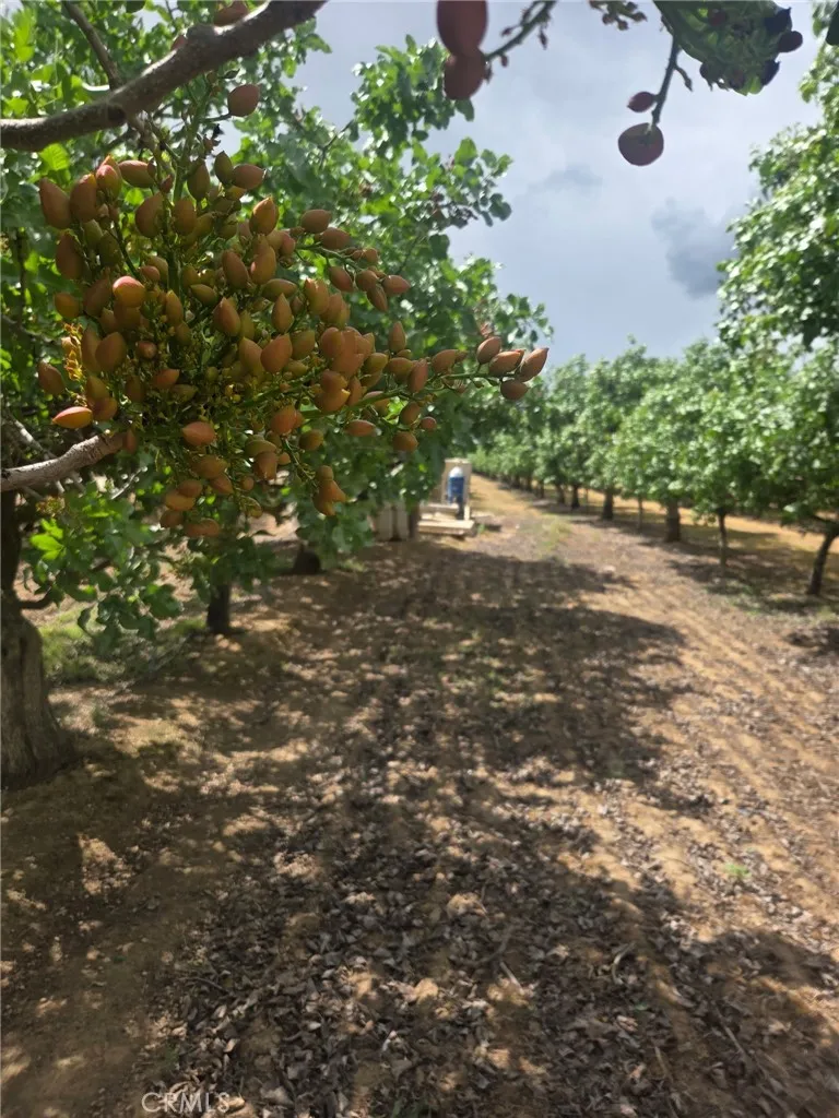 Santa Fe Chowchilla, CA 93610