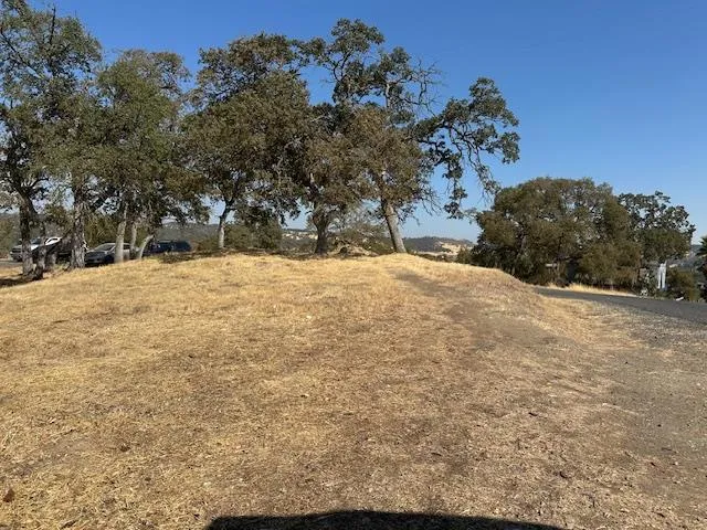 4227 Council Trail Copperopolis, CA 95228