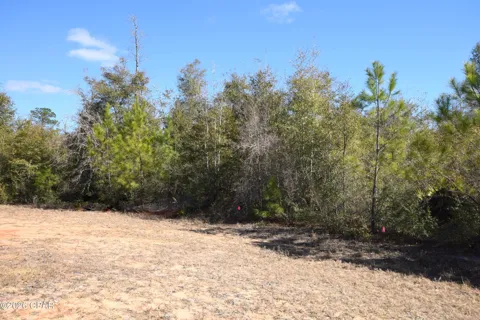 Spirit Court