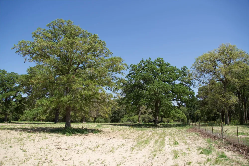 1035 Old Sayers Road Elgin, TX 78621