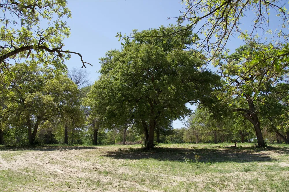 1035 Old Sayers Road Elgin, TX 78621