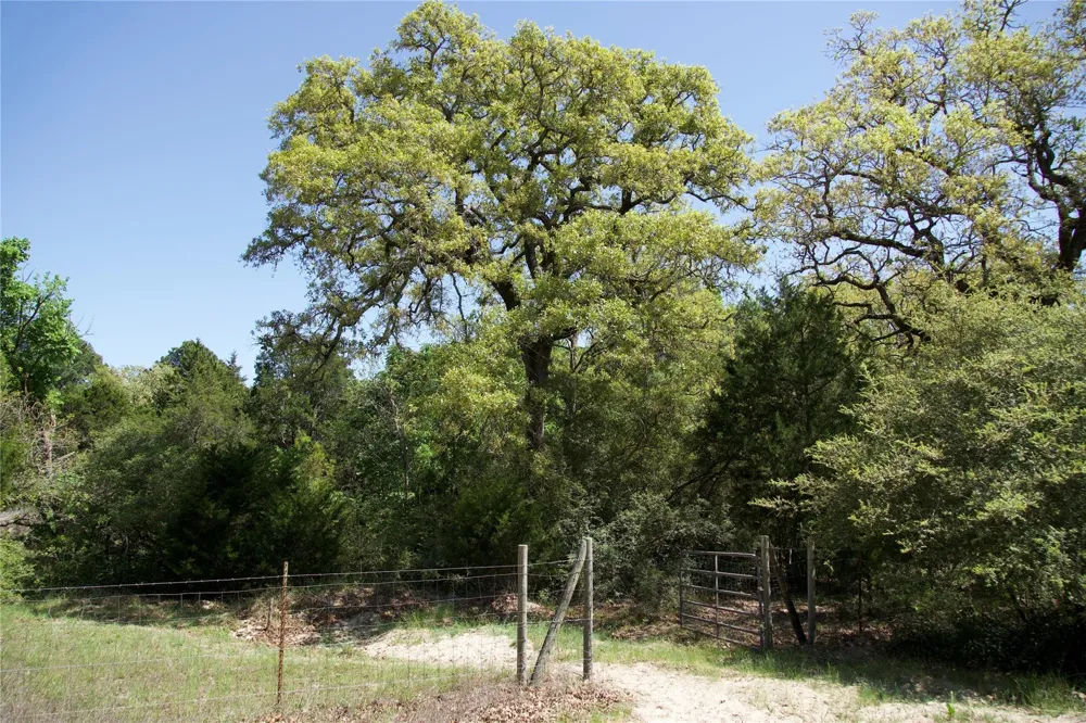 1035 Old Sayers Road Elgin, TX 78621