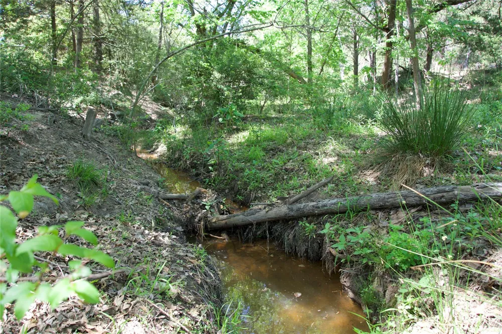 1035 Old Sayers Road Elgin, TX 78621