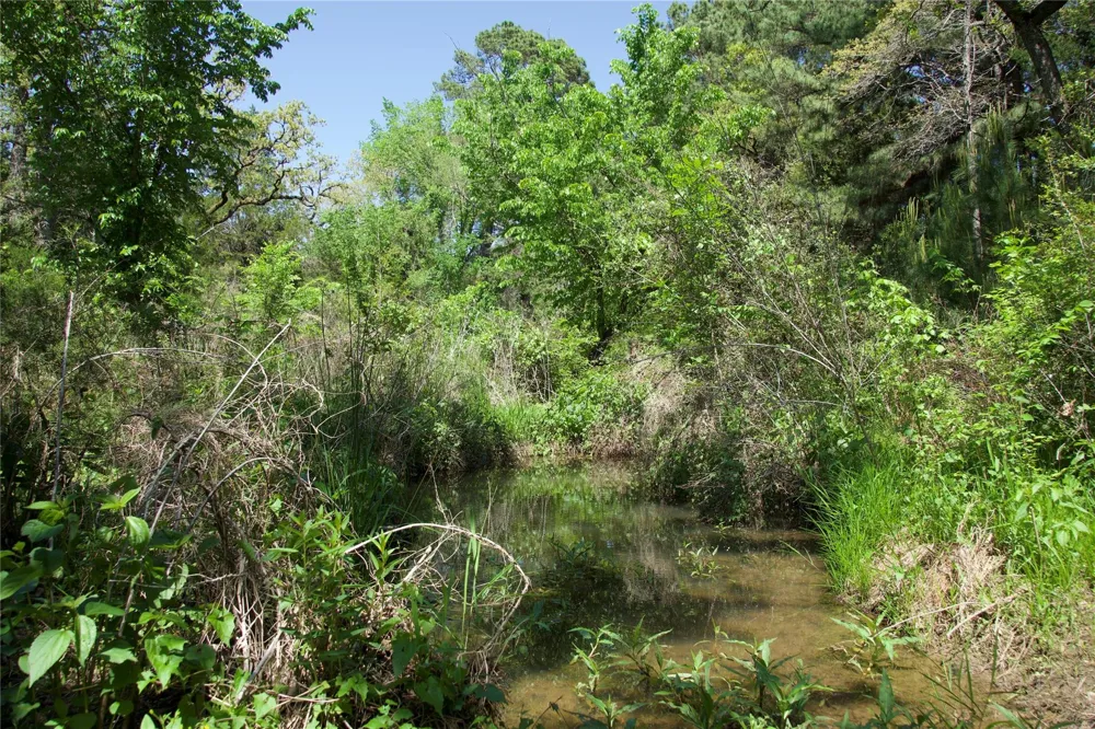 1035 Old Sayers Road Elgin, TX 78621