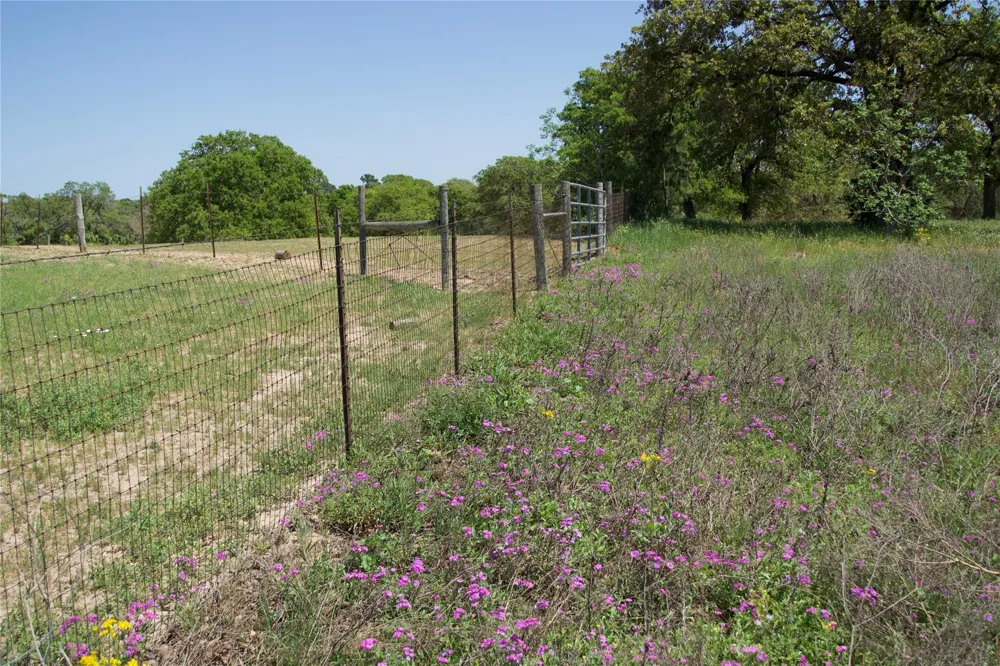 1035 Old Sayers Road Elgin, TX 78621