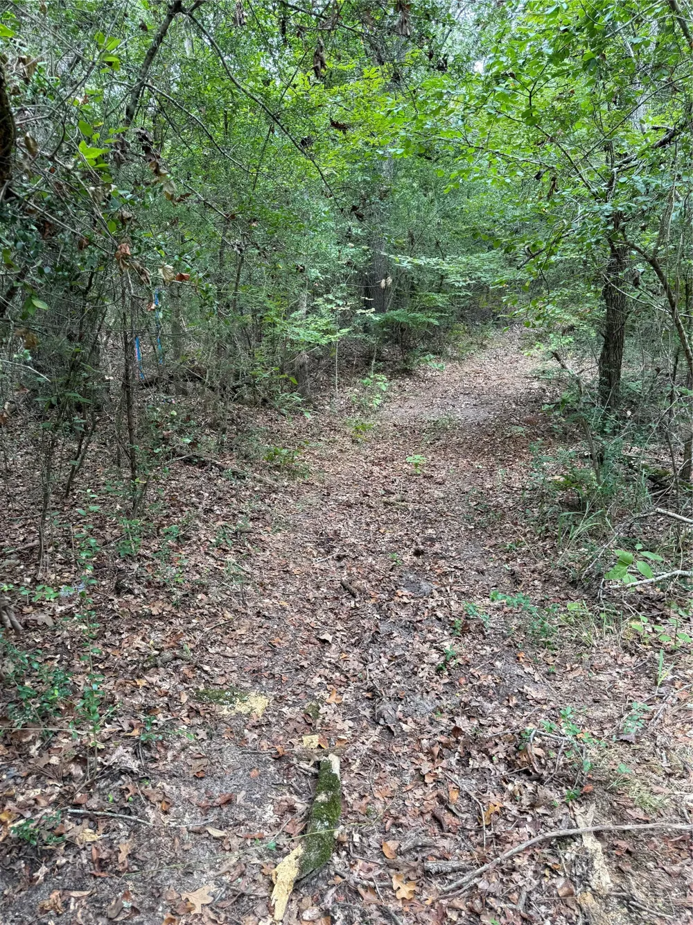 99999 CR 207 Centerville, TX 75833