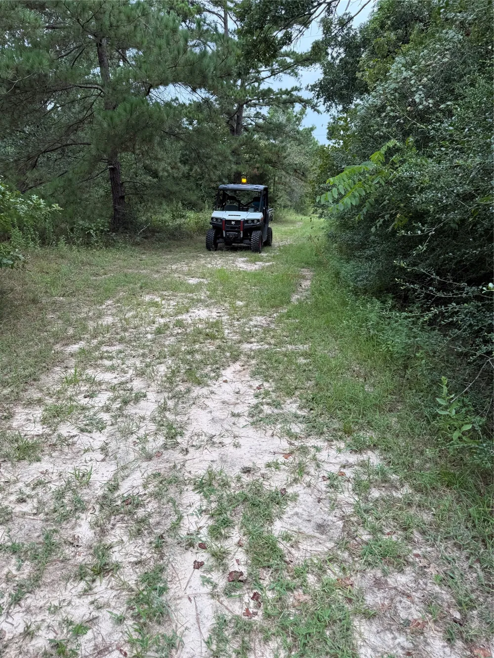 99999 CR 207 Centerville, TX 75833