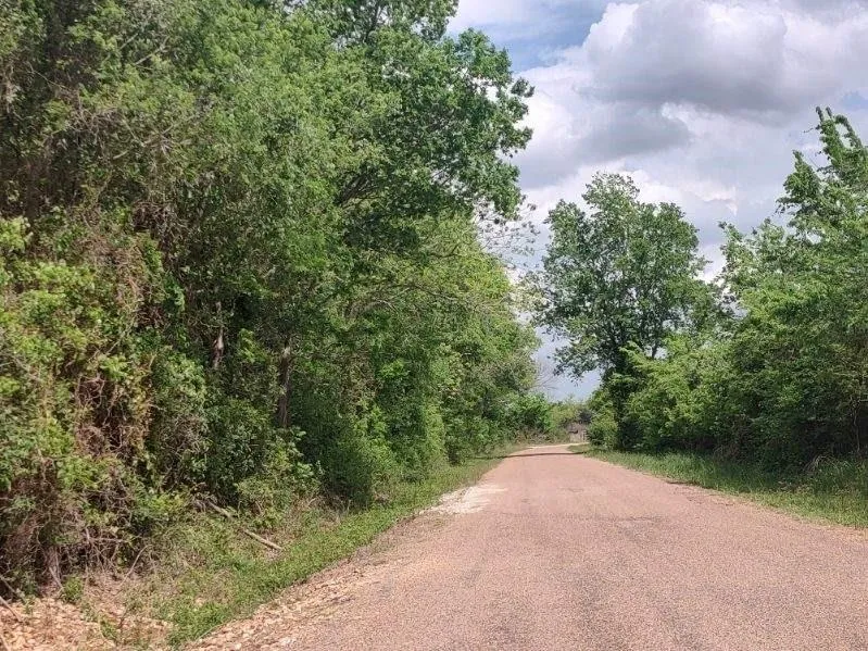 Cr 328 Tract 7-8 21acres Caldwell, TX 77836