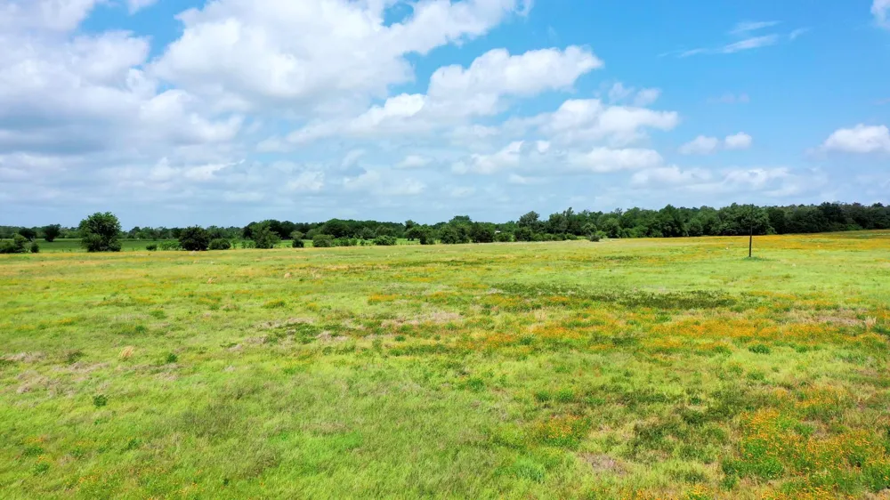 Cr 328 Tract 7-8 21acres Caldwell, TX 77836