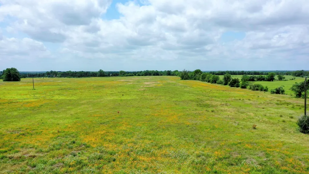 Cr 328 Tract 7-8 21acres Caldwell, TX 77836
