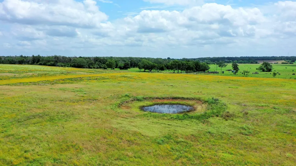 Cr 328 Tract 7-8 21acres Caldwell, TX 77836