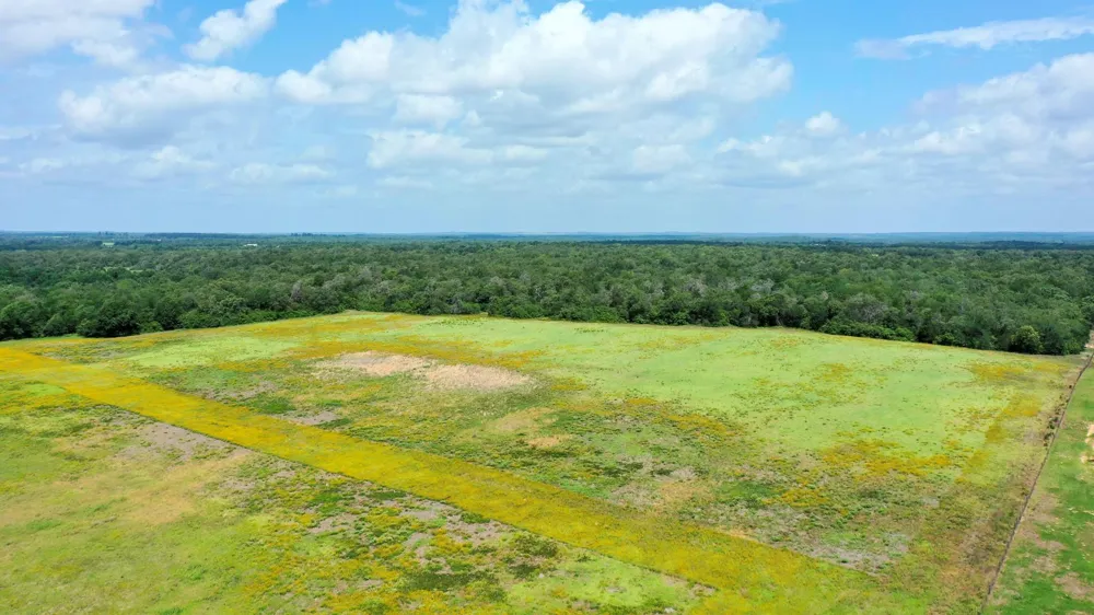 Cr 328 Tract 7-8 21acres Caldwell, TX 77836