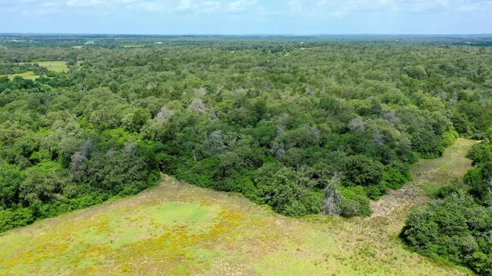Cr 328 Tract 7-8 21acres Caldwell, TX 77836
