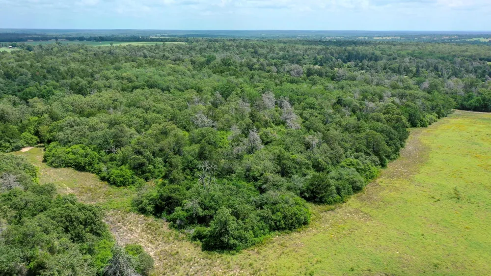 Cr 328 Tract 7-8 21acres Caldwell, TX 77836