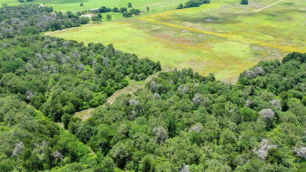 Cr 328 Tract 7-8 21acres Caldwell, TX 77836