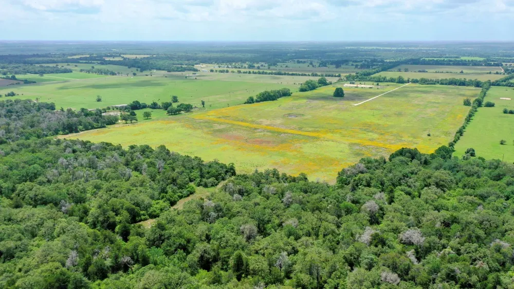 Cr 328 Tract 7-8 21acres Caldwell, TX 77836