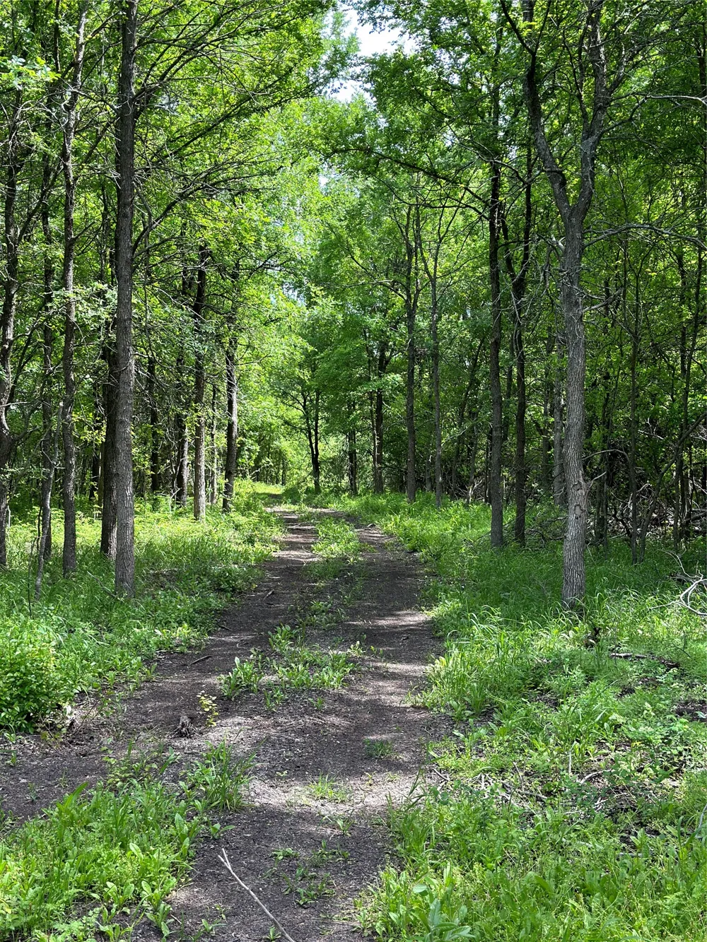 764 County Road 3422 Bynum, TX 76631