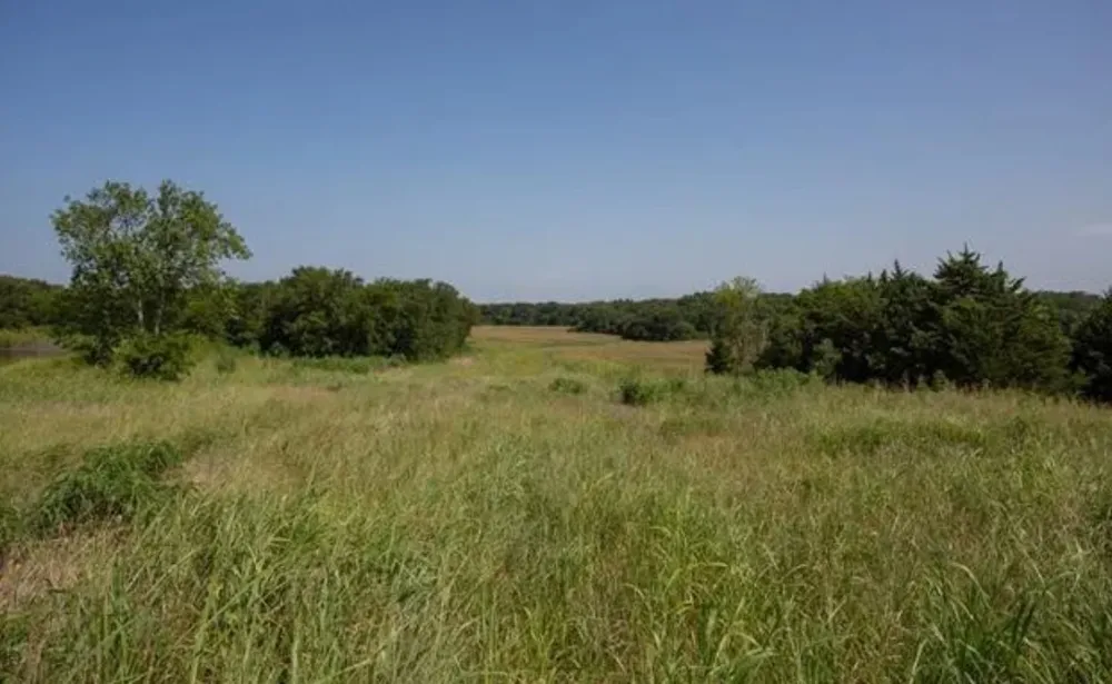 764 County Road 3422 Bynum, TX 76631
