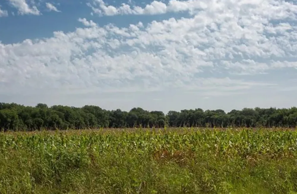 764 County Road 3422 Bynum, TX 76631