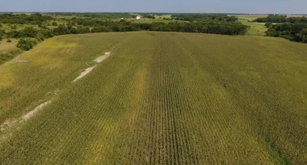 764 County Road 3422 Bynum, TX 76631