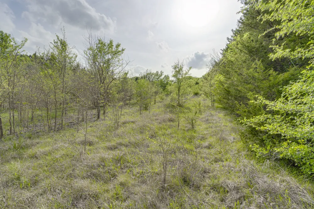 810 Truman Circle Lancaster, TX 75146
