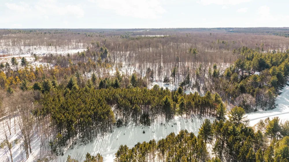 4811 Truax Lake Road Whitewater Township, MI 49690
