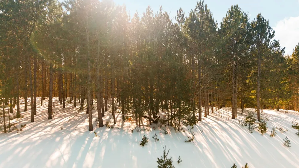 4811 Truax Lake Road Whitewater Township, MI 49690