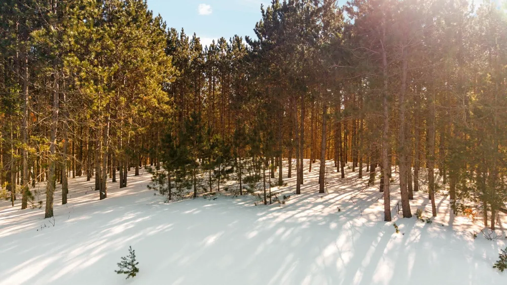 4811 Truax Lake Road Whitewater Township, MI 49690
