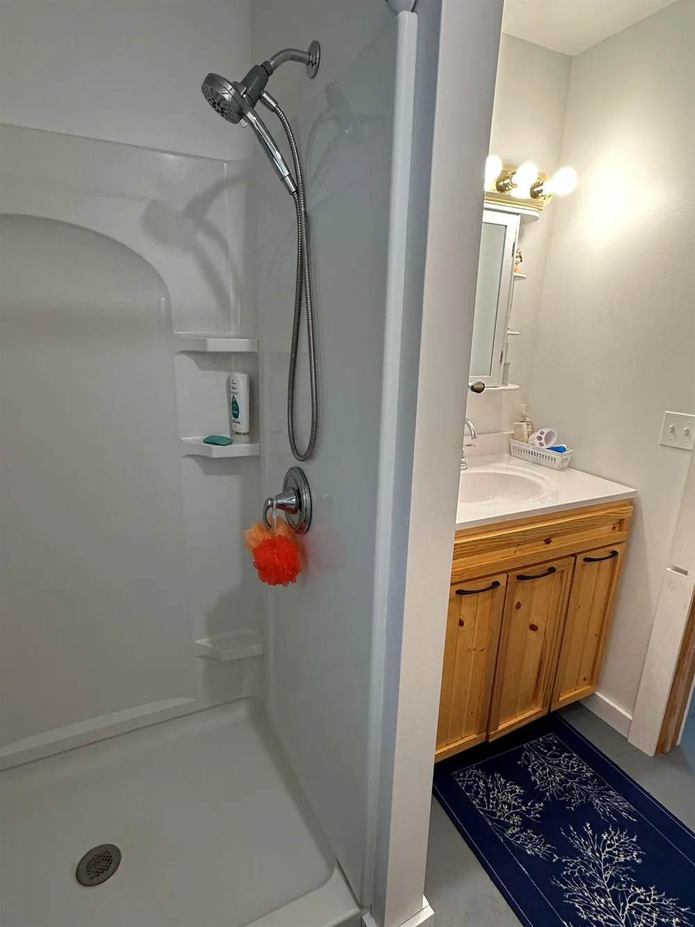 2392 SW Inman Road Boardman Township, MI 49680