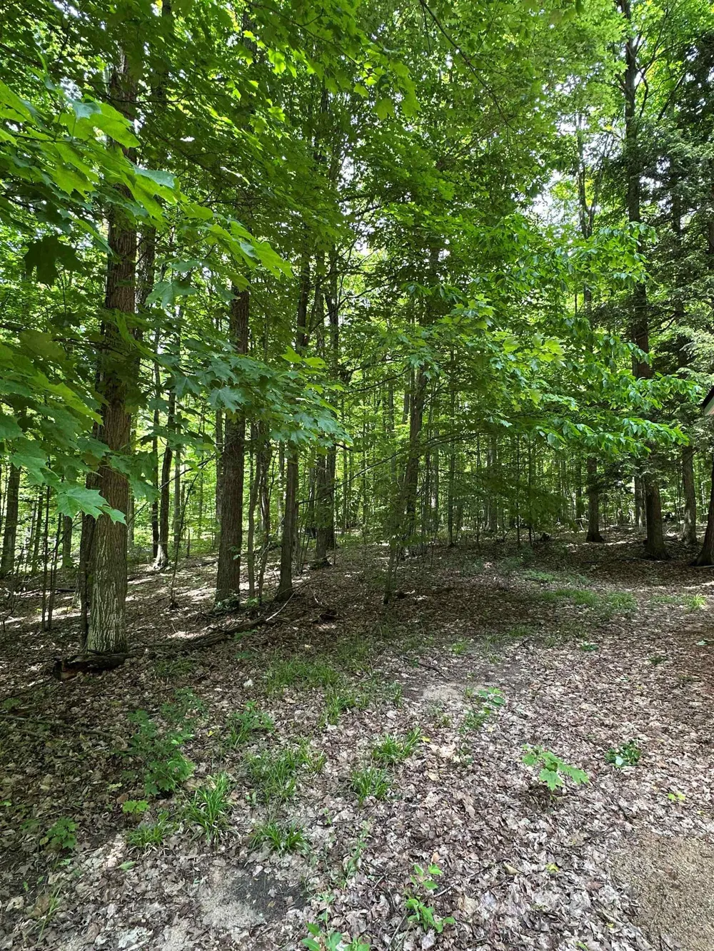 2392 SW Inman Road Boardman Township, MI 49680