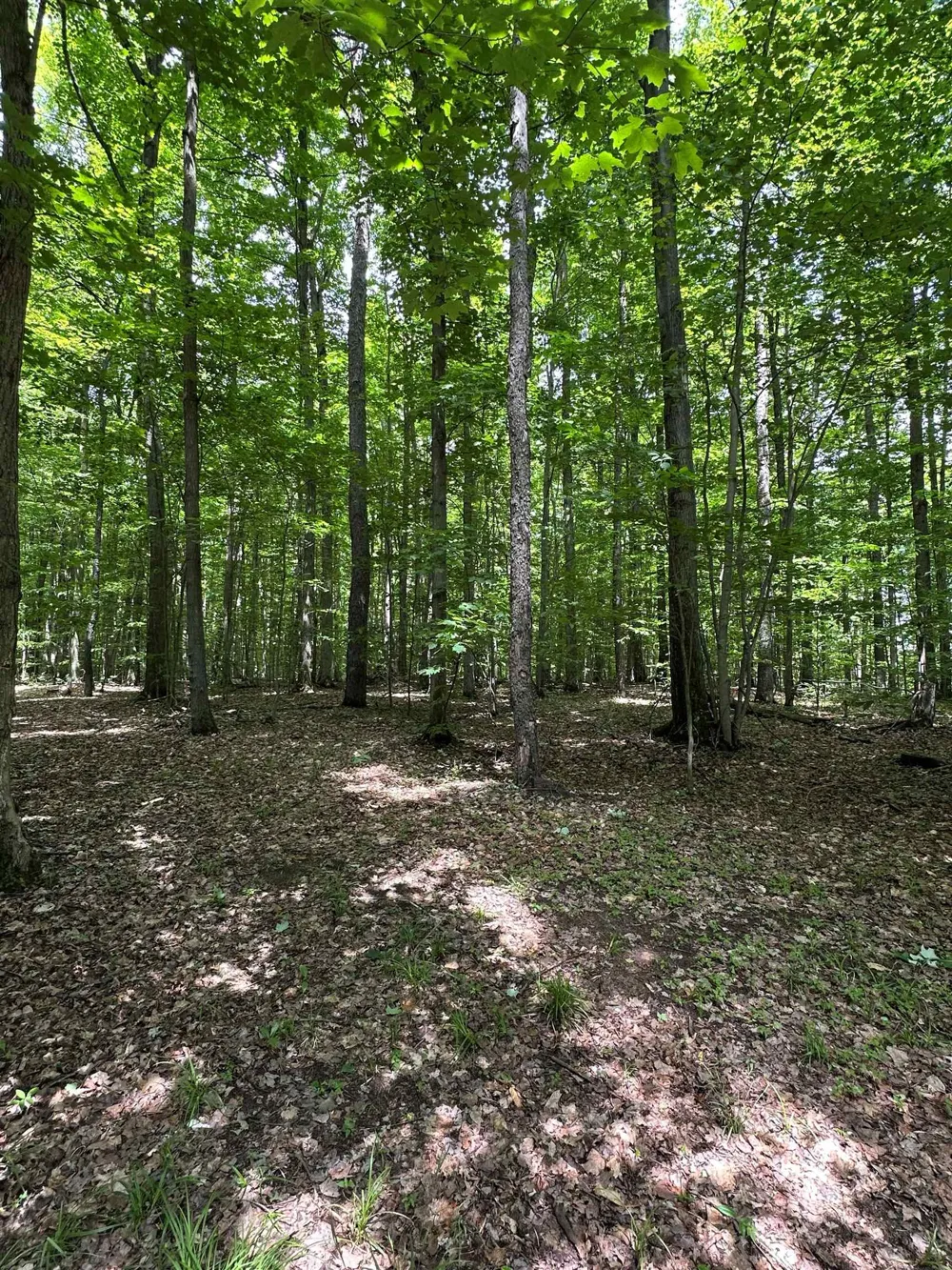 2392 SW Inman Road Boardman Township, MI 49680