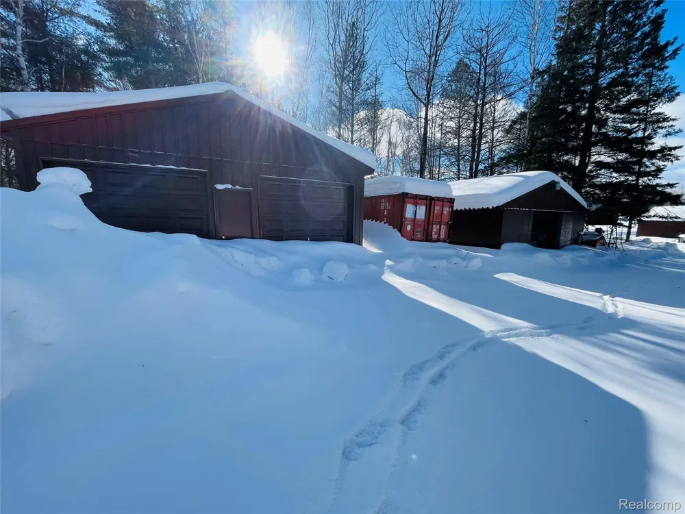 21805 S Wilwin Road Trout Lake Township, MI 49793