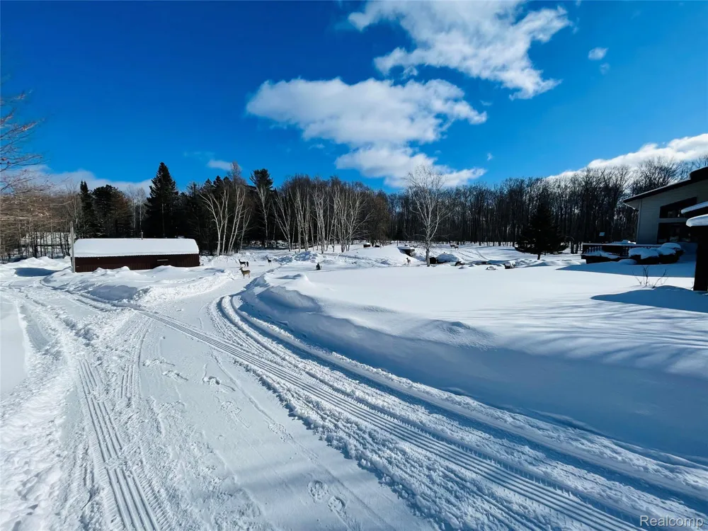 21805 S Wilwin Road Trout Lake Township, MI 49793