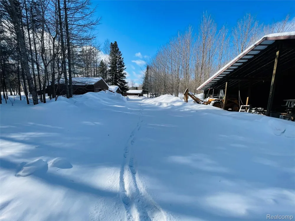 21805 S Wilwin Road Trout Lake Township, MI 49793