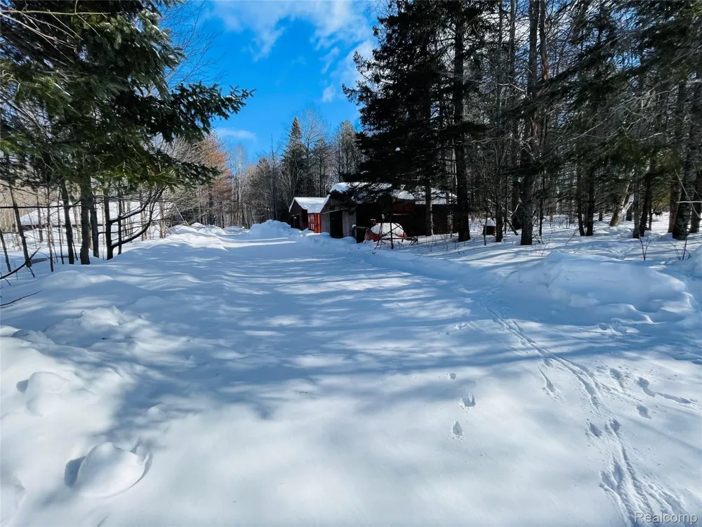 21805 S Wilwin Road Trout Lake Township, MI 49793