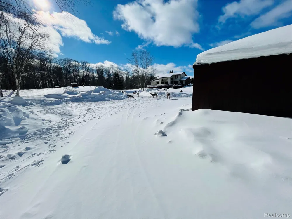 21805 S Wilwin Road Trout Lake Township, MI 49793