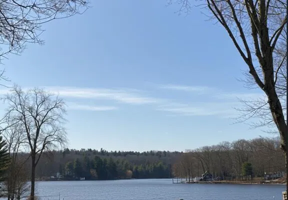 8752 Bills Lake Court Croton Township, MI 49337