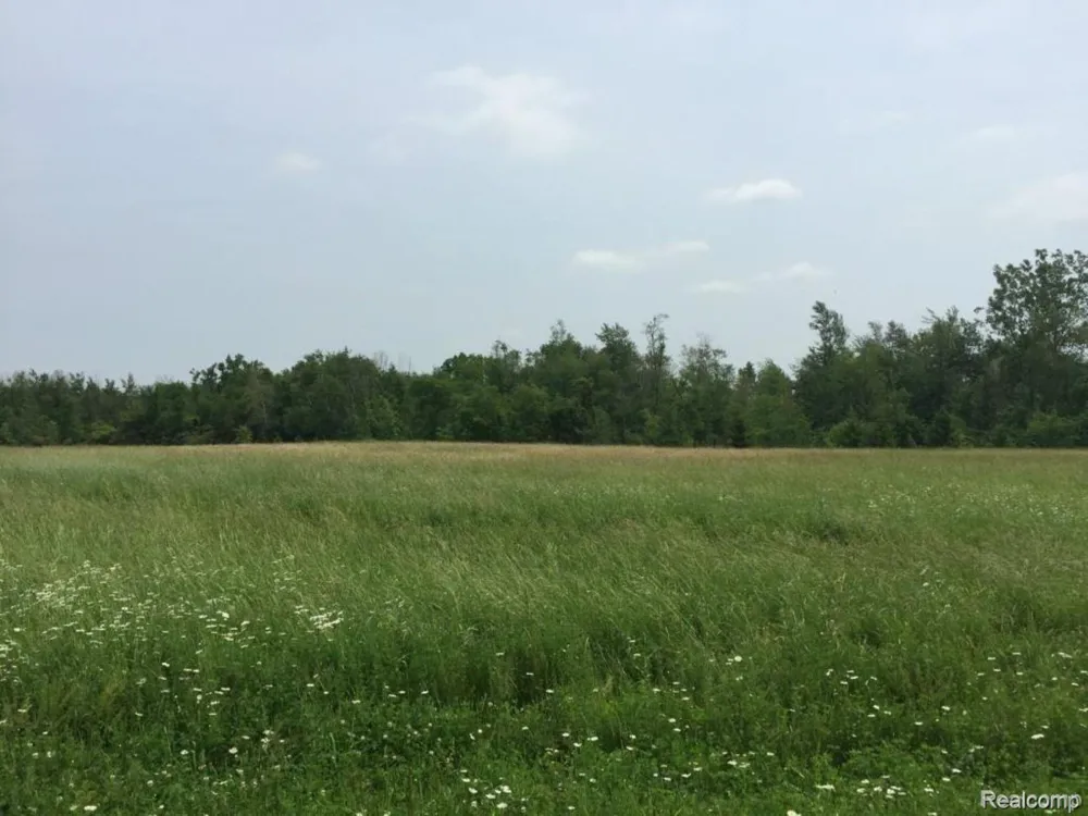 6350 Wolf Road Burnside Township, MI 48416